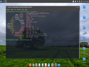 Xfce Xubuntu 20.04